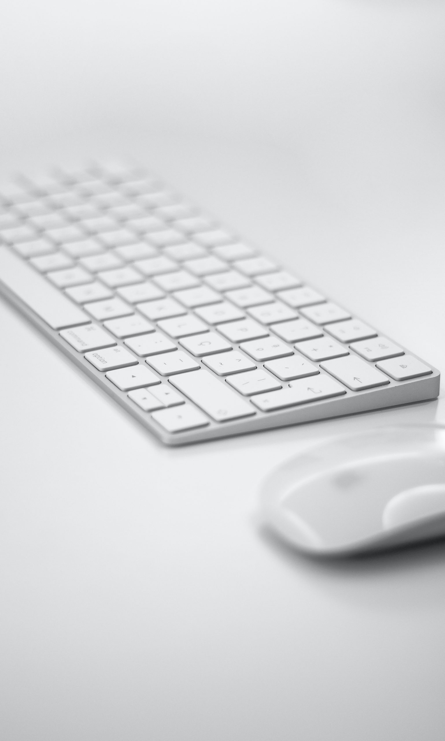 white apple keyboard and mouse on a desk